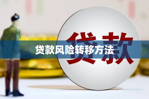 务川贷款风险转移方法 务川贷款风险转移方法