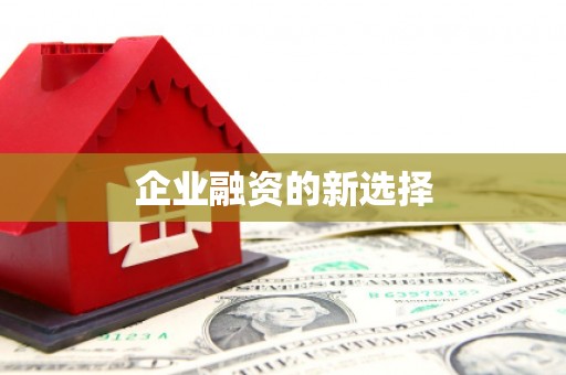 务川企业融资的新选择