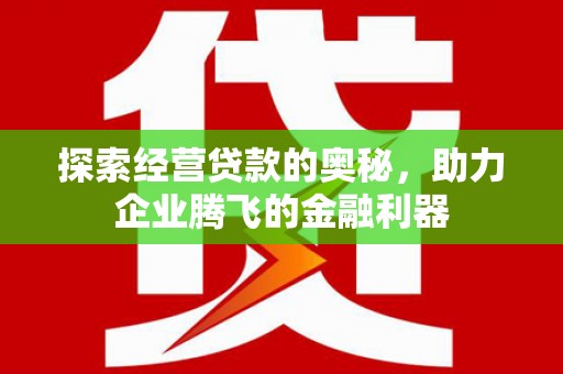 务川探索经营贷款的奥秘，助力企业腾飞的金融利器