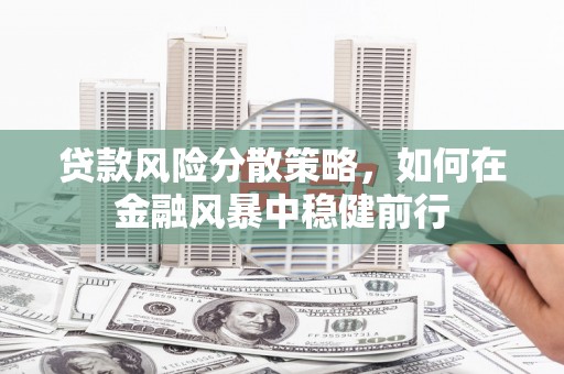 务川贷款风险分散策略，如何在金融风暴中稳健前行
