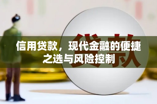 务川信用贷款，现代金融的便捷之选与风险控制