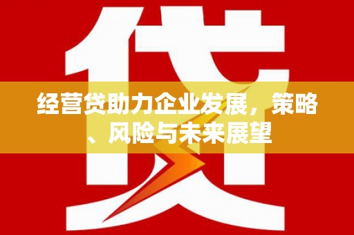务川经营贷助力企业发展，策略、风险与未来展望