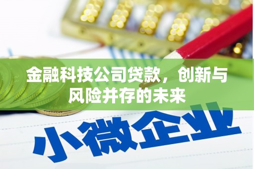 务川金融科技公司贷款，创新与风险并存的未来