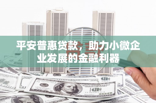 务川平安普惠贷款，助力小微企业发展的金融利器
