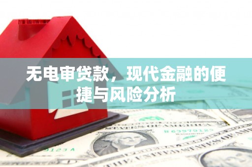 务川无电审贷款，现代金融的便捷与风险分析