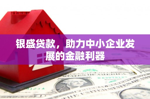 务川银盛贷款，助力中小企业发展的金融利器
