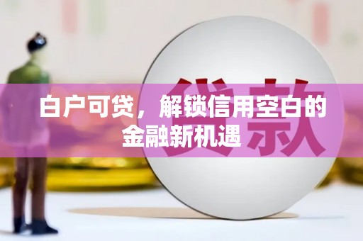 务川白户可贷，解锁信用空白的金融新机遇