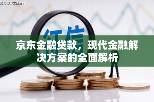务川京东金融贷款，现代金融解决方案的全面解析