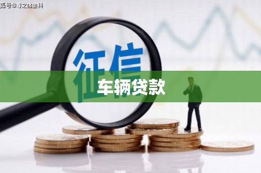 务川车辆贷款