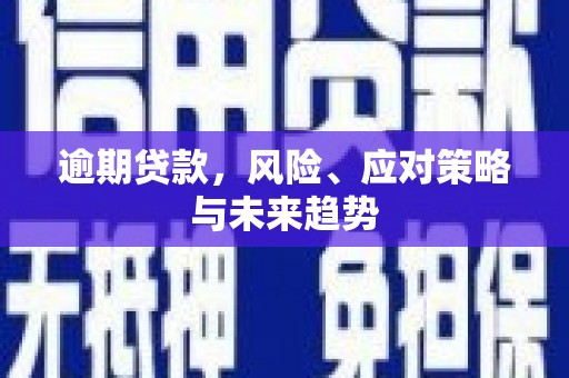 务川逾期贷款，风险、应对策略与未来趋势