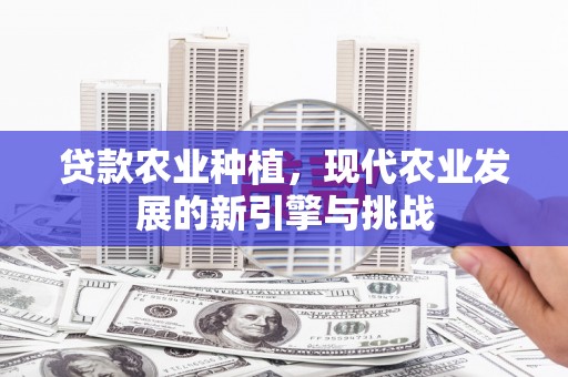 务川贷款农业种植，现代农业发展的新引擎与挑战