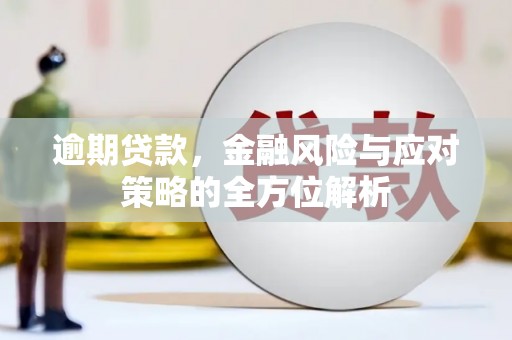 务川逾期贷款，金融风险与应对策略的全方位解析