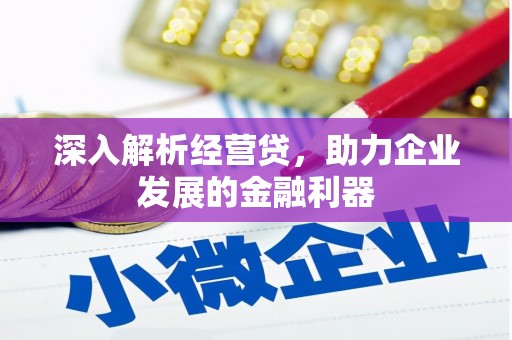 务川深入解析经营贷，助力企业发展的金融利器