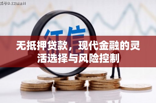 务川无抵押贷款，现代金融的灵活选择与风险控制