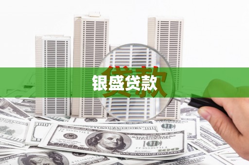 务川银盛贷款