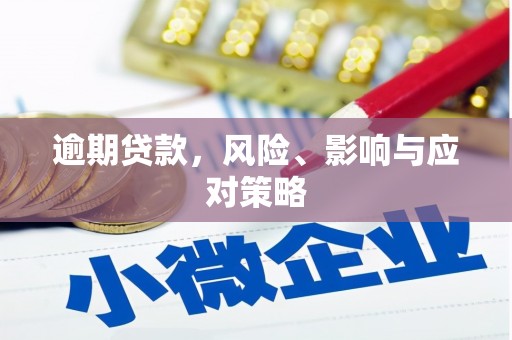 务川逾期贷款，风险、影响与应对策略