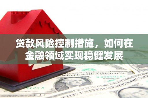 务川贷款风险控制措施，如何在金融领域实现稳健发展