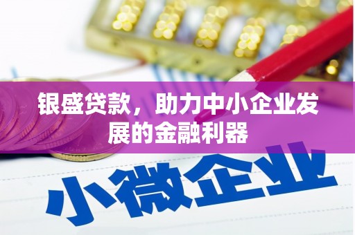务川银盛贷款，助力中小企业发展的金融利器