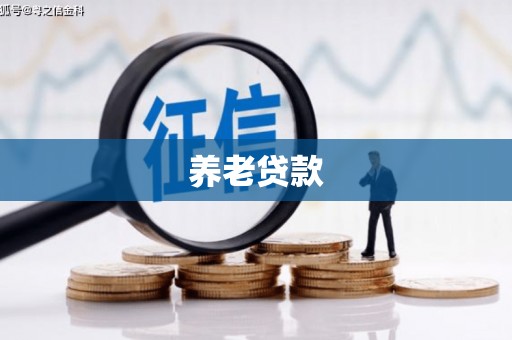 务川养老贷款