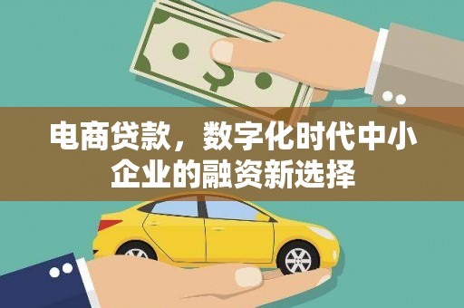 务川电商贷款，数字化时代中小企业的融资新选择