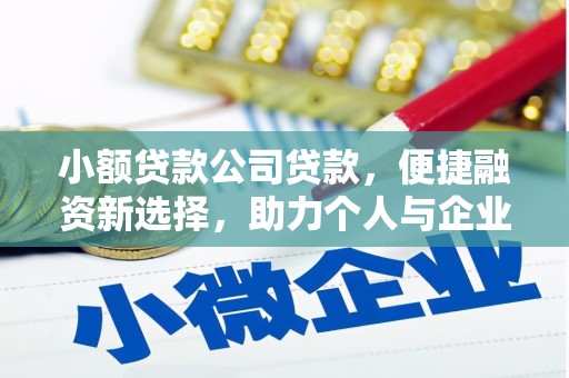 务川小额贷款公司贷款，便捷融资新选择，助力个人与企业成长
