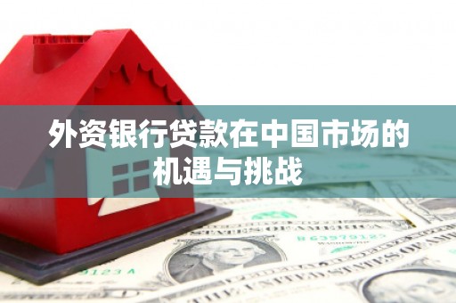 务川外资银行贷款在中国市场的机遇与挑战