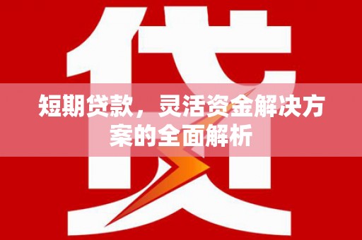 务川短期贷款，灵活资金解决方案的全面解析
