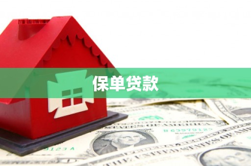 务川保单贷款