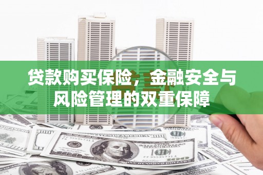 务川贷款购买保险，金融安全与风险管理的双重保障