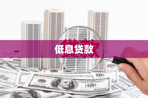 务川低息贷款