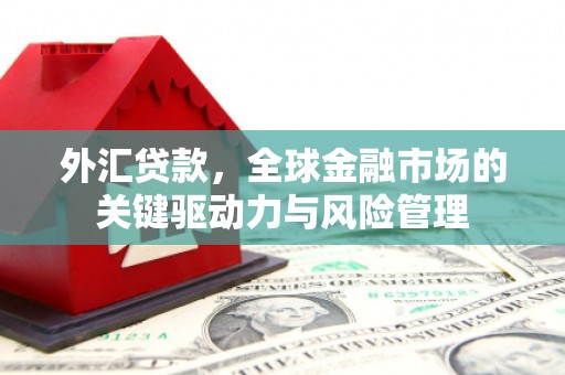务川外汇贷款，全球金融市场的关键驱动力与风险管理