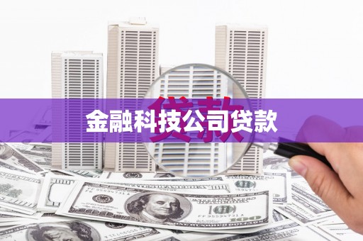 务川金融科技公司贷款
