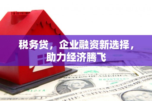 务川税务贷，企业融资新选择，助力经济腾飞