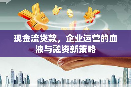 务川现金流贷款，企业运营的血液与融资新策略