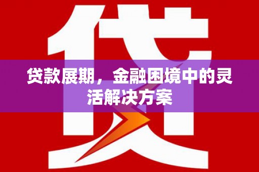 务川贷款展期，金融困境中的灵活解决方案