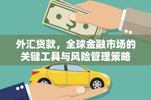 务川外汇贷款，全球金融市场的关键工具与风险管理策略