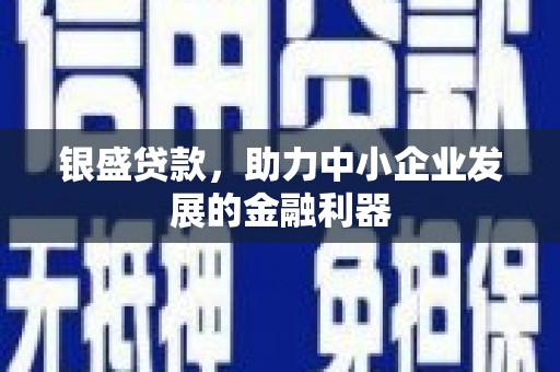 务川银盛贷款，助力中小企业发展的金融利器
