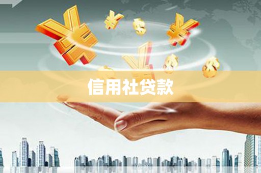 务川信用社贷款