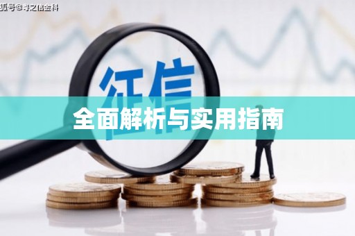 务川全面解析与实用指南