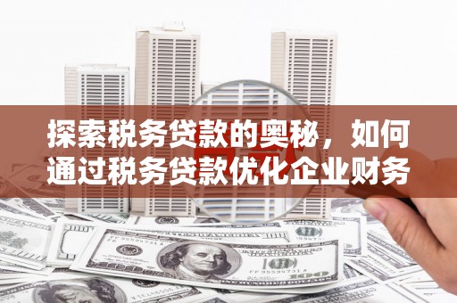 务川探索税务贷款的奥秘，如何通过税务贷款优化企业财务
