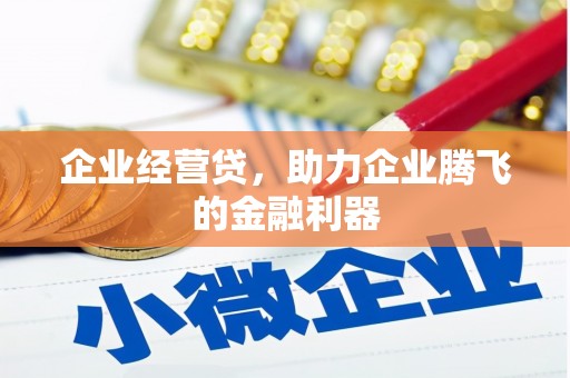 务川企业经营贷，助力企业腾飞的金融利器