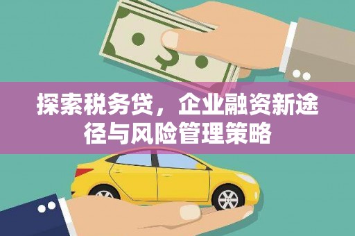 务川探索税务贷，企业融资新途径与风险管理策略