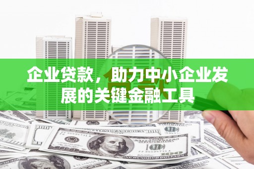 务川企业贷款，助力中小企业发展的关键金融工具