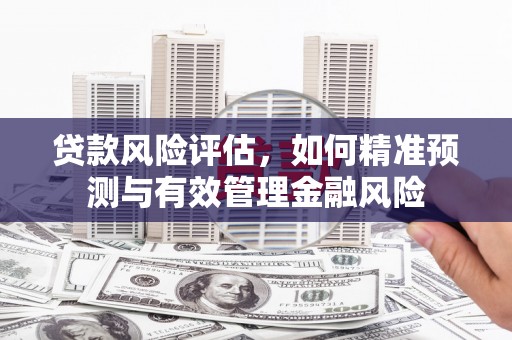 务川贷款风险评估，如何精准预测与有效管理金融风险