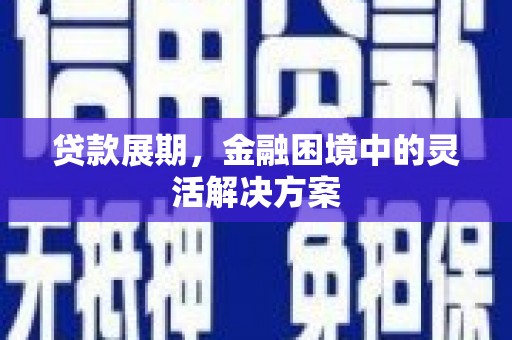务川贷款展期，金融困境中的灵活解决方案