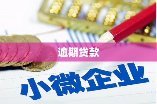 务川逾期贷款