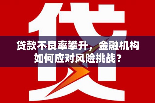 务川贷款不良率攀升，金融机构如何应对风险挑战？