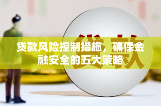 务川贷款风险控制措施，确保金融安全的五大策略