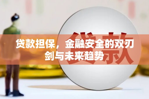 务川贷款担保，金融安全的双刃剑与未来趋势