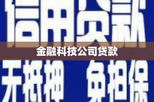 务川金融科技公司贷款
